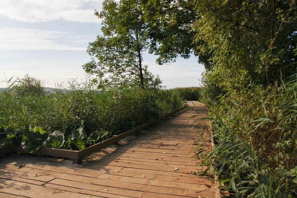 Vila Terre D'O Pecq Exteriér fotografie