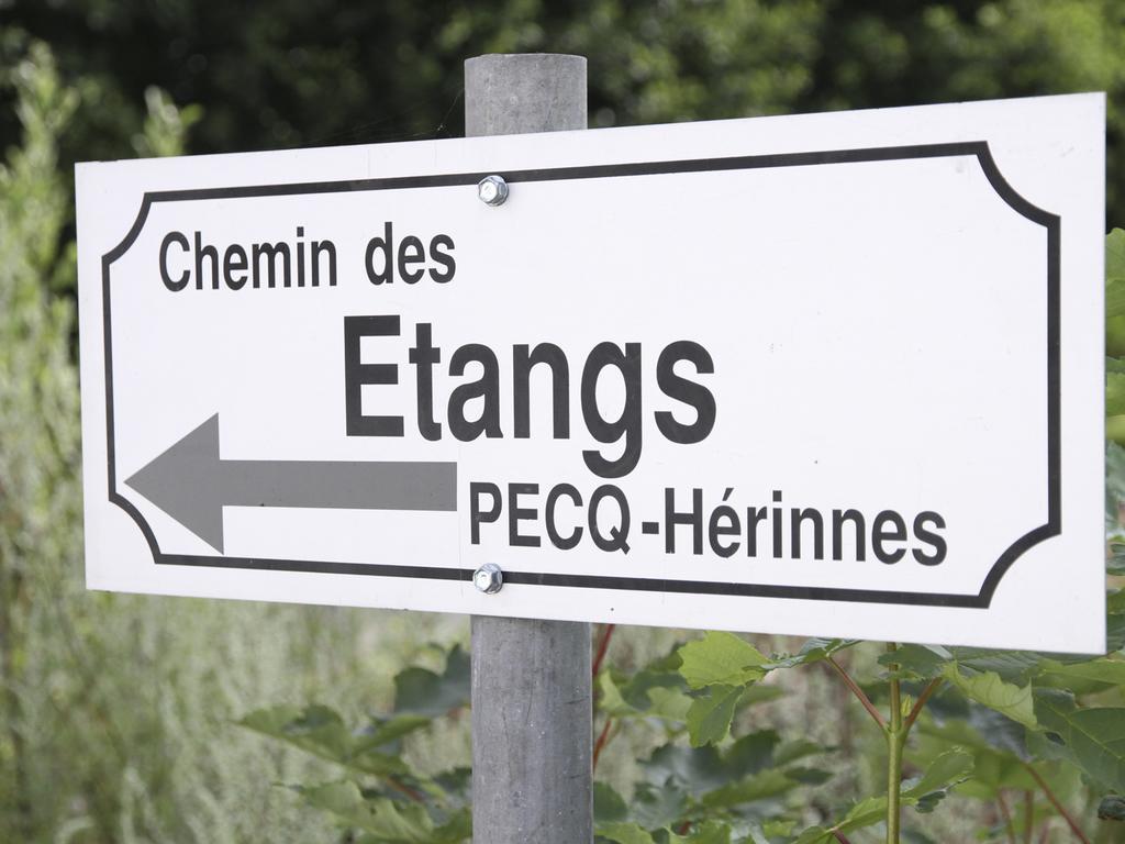 Vila Terre D'O Pecq Exteriér fotografie